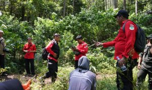 hutan1