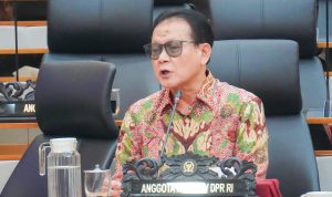 rohimin DPR RI