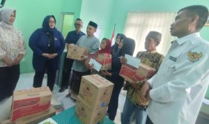bantuan nasdem